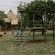 Buck Hill Bush Lodge - 244043