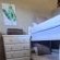 Buck Hill Bush Lodge - 244047