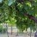Karoo Life Bed & Breakfast - 244097