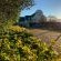 CANA Vineyard Guesthouse - 244137