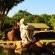 Mulberry Lane Suites & Tsanana Log Cabins - 244165