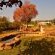 Mulberry Lane Suites & Tsanana Log Cabins - 244177