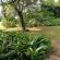 Mulberry Lane Suites & Tsanana Log Cabins - 244197