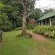 Mulberry Lane Suites & Tsanana Log Cabins - 244198
