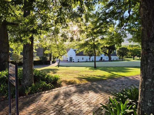 Sunrise at Webersburg wine estate