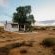 Soutaar Guestfarm - 244431