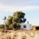 Soutaar Guestfarm - 244439