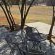 Riverbend Camp - 244635