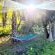 River Front - 244664