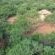 Lentegeur Wildlife - 244732