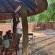 Lentegeur Wildlife - 244759