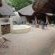 Lentegeur Wildlife - 244763