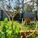 Villa Picasso - 244803