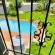 Villa Picasso - 244804