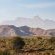 Aardvark Bioreserve - 245014