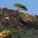 Aardvark Bioreserve - 245019
