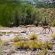 Aardvark Bioreserve - 245063