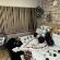 Africa Paradise Boutique Hotel - 245110