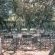 Tshikwalo Guest House - 245219