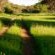 Frylinckspan Guestfarm and Venue - 245276