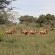 Frylinckspan Guestfarm and Venue - 245277