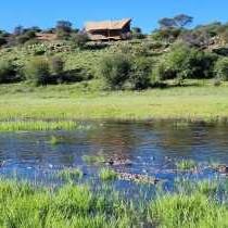 Frylinckspan Guestfarm and Venue - 245279