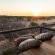 Frylinckspan Guestfarm and Venue - 245407