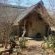 Call of the Wild Lodge - 245448