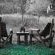 Call of the Wild Lodge - 245449