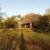 Call of the Wild Lodge - 245452
