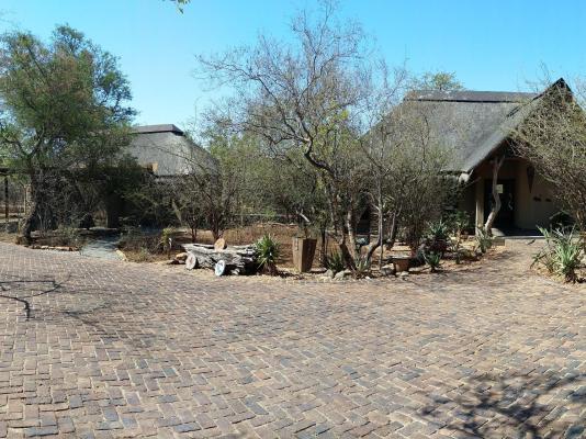 Call of the Wild Lodge - 245455