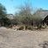 Call of the Wild Lodge - 245455