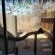 Call of the Wild Lodge - 245482