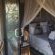 Call of the Wild Lodge - 245484