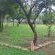 Buck Hill Bush Lodge - 245601