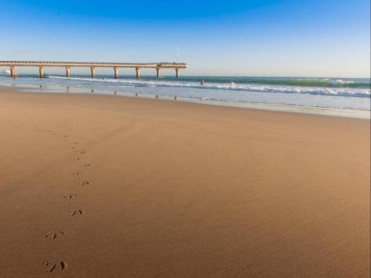 Bayside Guesthouse - 245619