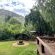 Patcham Place Guest House - 245685