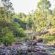 Harnham Mountain Lodge - 245741