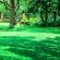 Harnham Mountain Lodge - 245742