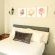 Harnham Mountain Lodge - 245763