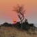 Bergendam Eco Lodge - 245792