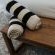 Bergendam Eco Lodge - 245840