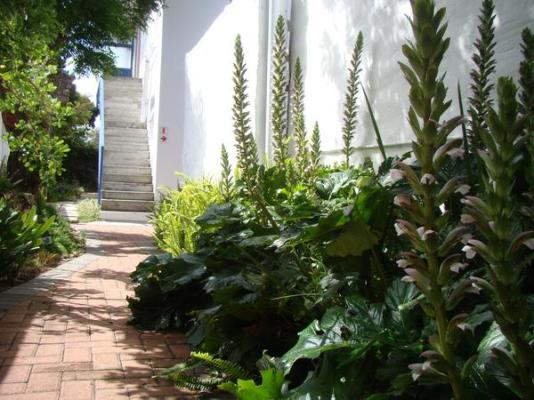  Aqua Marine Guest House - 245942