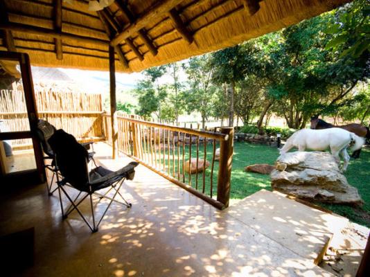 Caracal Lodge - 246030