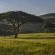 Caracal Lodge - 246031