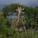 Caracal Lodge - 246032