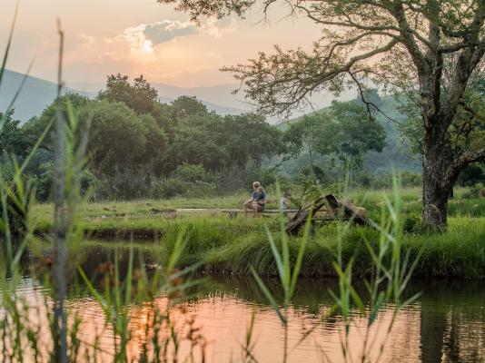 Caracal Lodge - 246034
