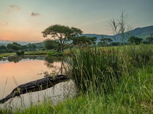 Caracal Lodge - 246038
