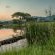 Caracal Lodge - 246038