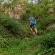 Caracal Lodge - 246041